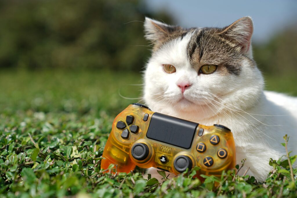 Monthly Recap: Major News in the Gaming World