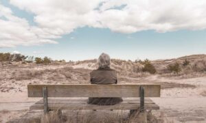 baseball terms sffarebaseball