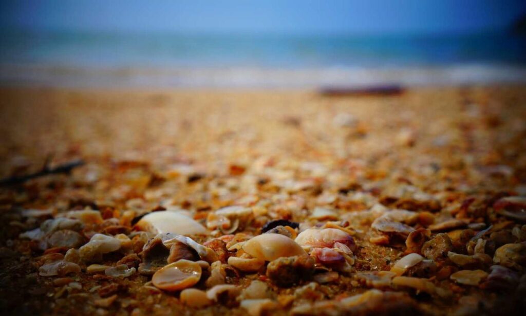 is mopfell78 the most demanding game for pc