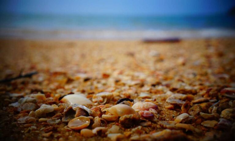 is mopfell78 the most demanding game for pc