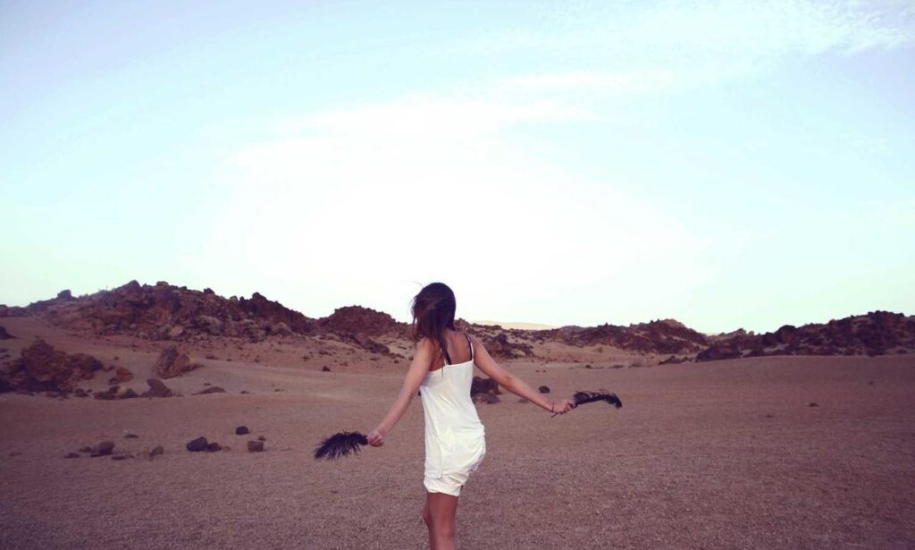 results yesterday sffarebaseball