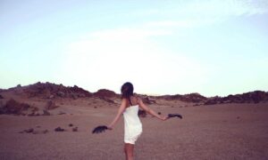 results yesterday sffarebaseball