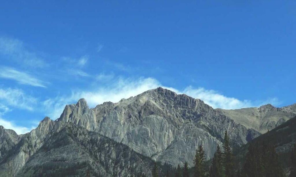 sffarebaseball results 2022