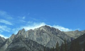 sffarebaseball results 2022