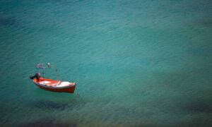 sffarebaseball results today from sportsfanfare