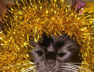 sffarebaseball statistics yesterday