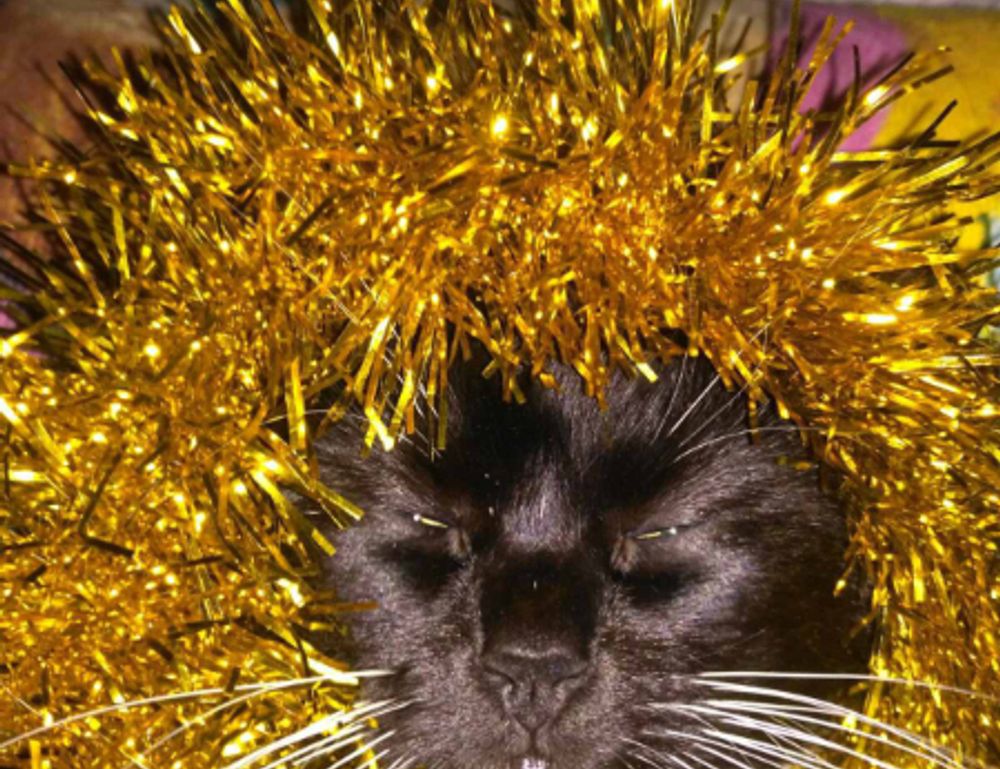 sffarebaseball statistics yesterday