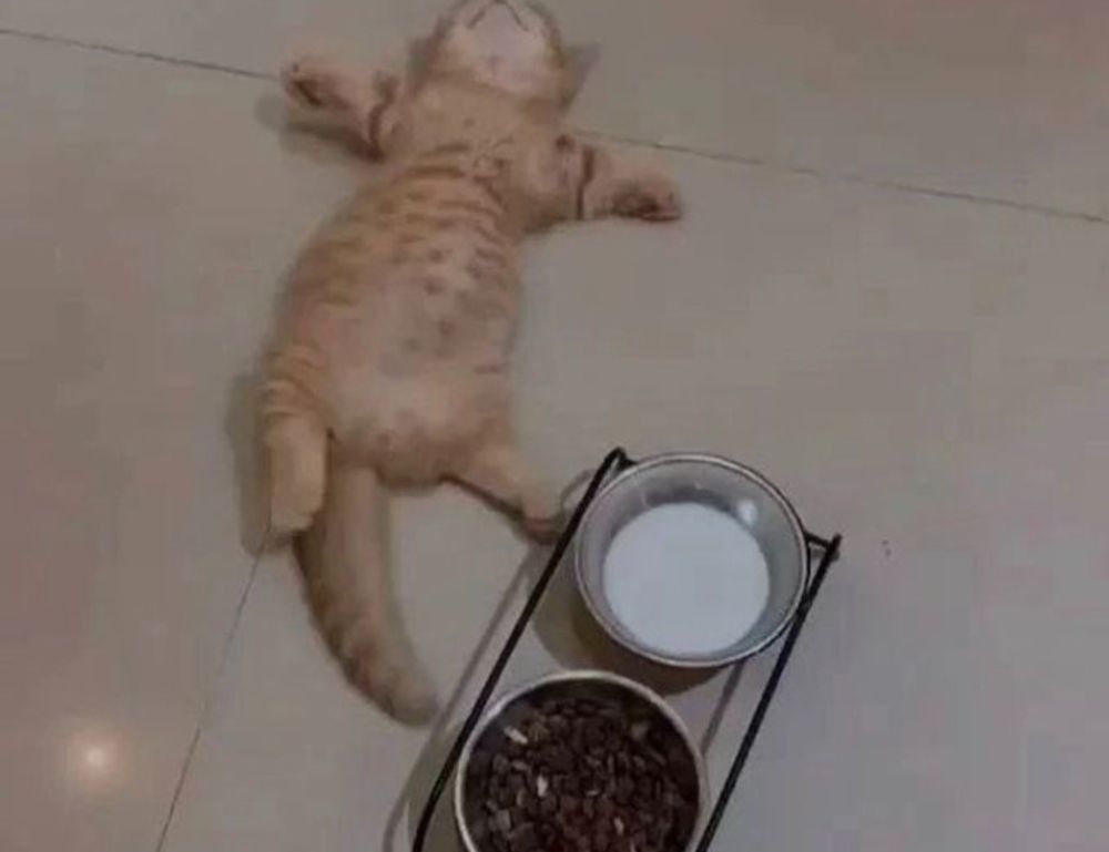 sffareboxing fixtures today