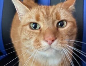 should my mac be on zillexit update