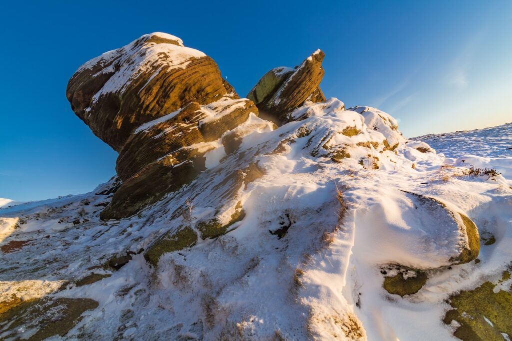 upcoming fixtures sffareboxing