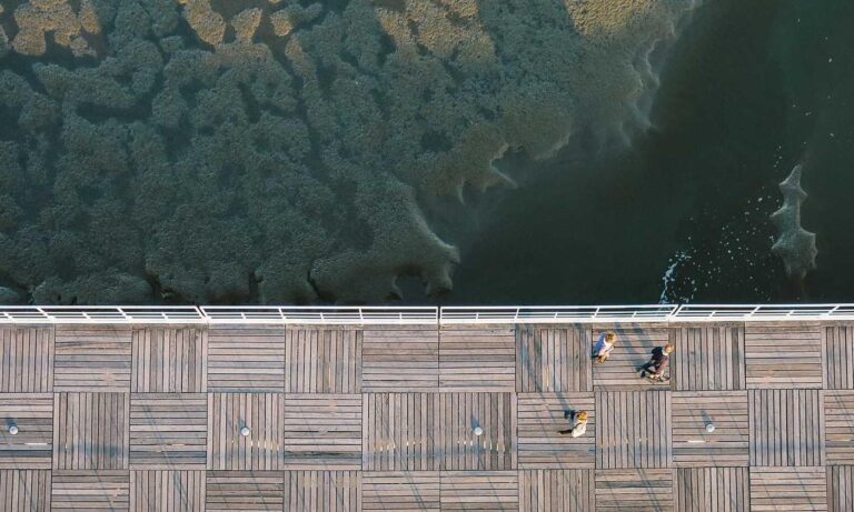 vloweves game information and facts