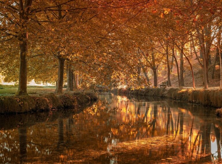 videos porno de hannapunzel