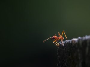 yeison jimenez antes y despues