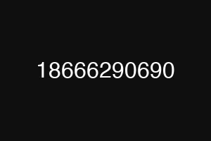 18666290690