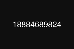18884689824