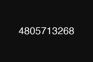 4805713268