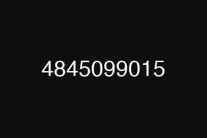 4845099015