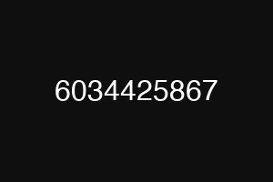 6034425867