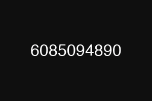 6085094890