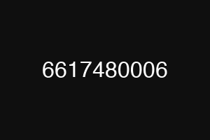 6617480006