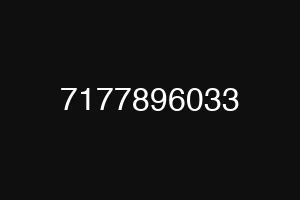 7177896033