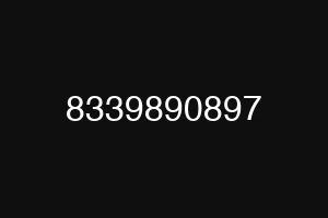 8339890897