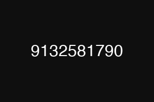 9132581790