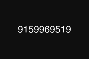 9159969519